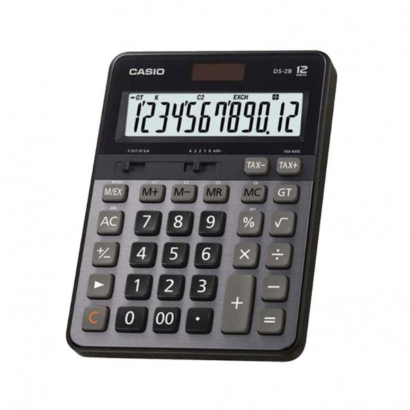 Casio 12 Haneli Penta Hesap Makinesi DS-2B - 1