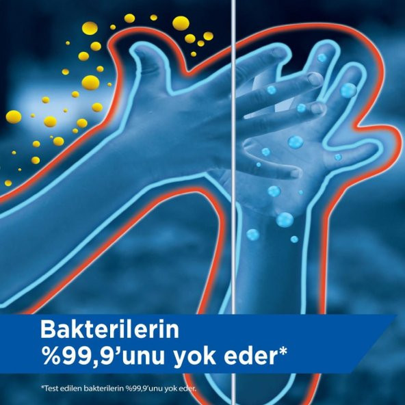 Protex Herbal Sıvı Sabun 300 ml - 2