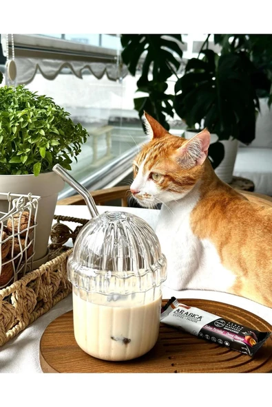 Cam Kapaklı Pipetli Borosilikat Sunum Bardağı, Isıya Dayanıklı Bardak, Kahve Bardağı (450 ml) Mocha - 3