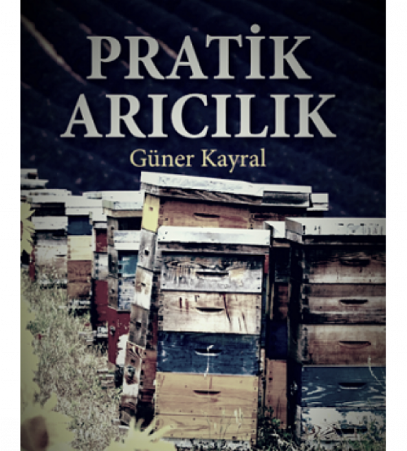 Pratik Arıcılık
