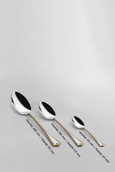 Nehir Fulya Altın Sade 12 Kişilik 60 Parça Çatal Kaşık Takımı - Resim 4