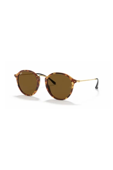 Rayban Unisex Güneş Gözlüğü 0RB2447-1160 - 4