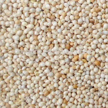 Bölünmüş Sade Ak Darı