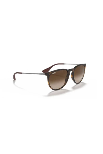 Rayban Unisex Güneş Gözlüğü RB4171-865/13 - 5