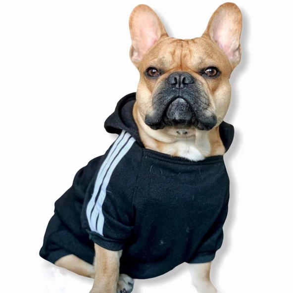 Adidog Black Hoodie Kapşonlu Sweatshirt, Orta ve Büyük Irklar İçin - 9
