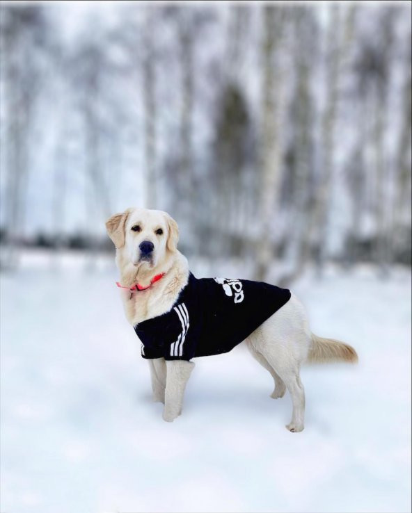 Adidog Black Hoodie Kapşonlu Sweatshirt, Orta ve Büyük Irklar İçin