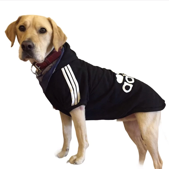 Adidog Black Hoodie Kapşonlu Sweatshirt, Orta ve Büyük Irklar İçin - 5