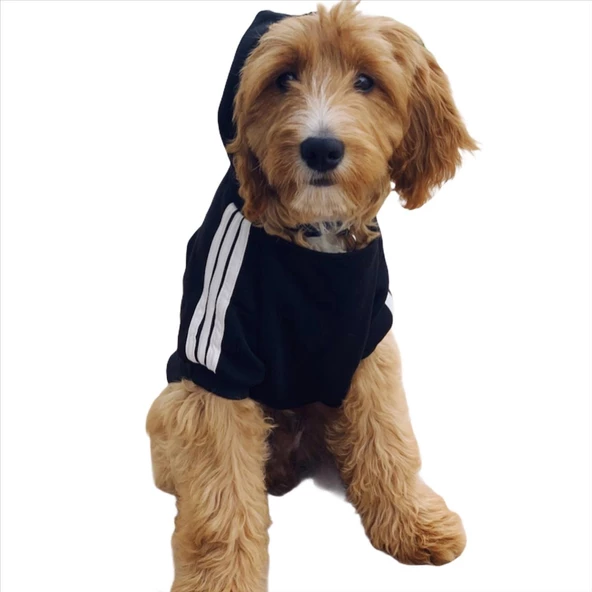 Adidog Black Hoodie Kapşonlu Sweatshirt, Orta ve Büyük Irklar İçin - 2