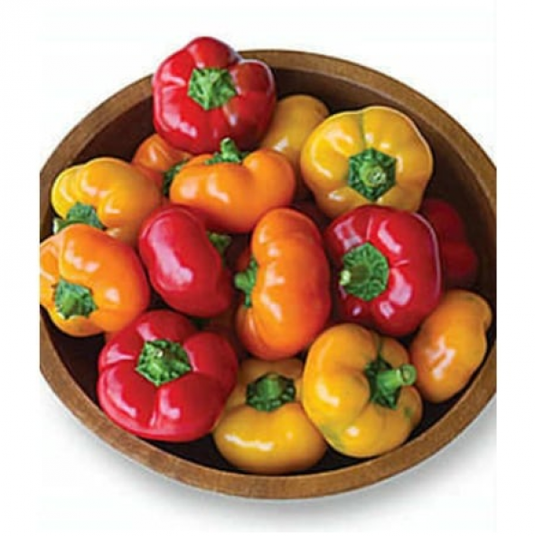 Peynir Biberi Tohumu Ekim Seti 5 Tohum Biber Tohumu +Saksı+Toprak