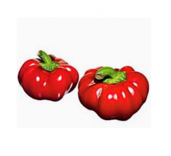 Peynir Biberi Tohumu Ekim Seti 5 Tohum Biber Tohumu +Saksı+Toprak - 2