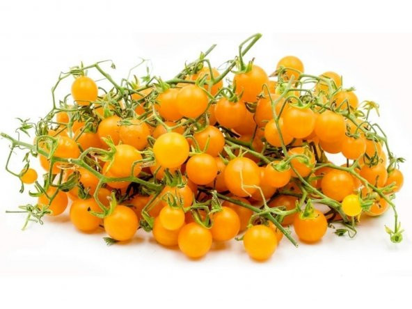 Cherry Sarı Domates Tohumu 5 Tohum + Süpriz Hediye Tohum