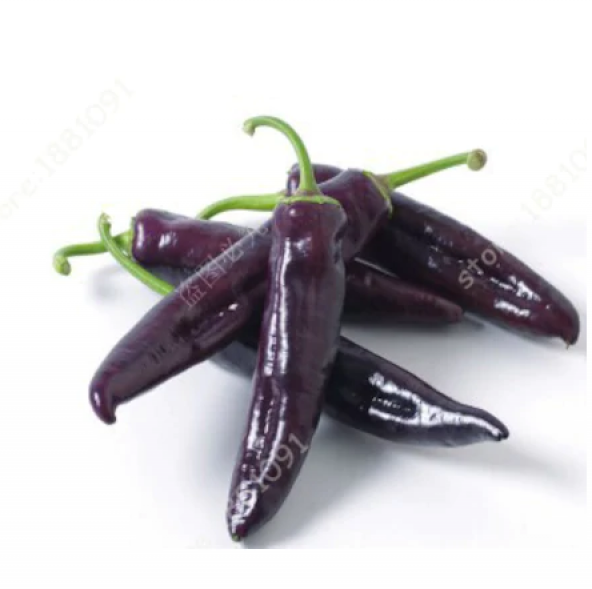 Acı Mor Biber Tohumu Ekim Seti 5 Tohum + Saksı + Toprak ürün görseli