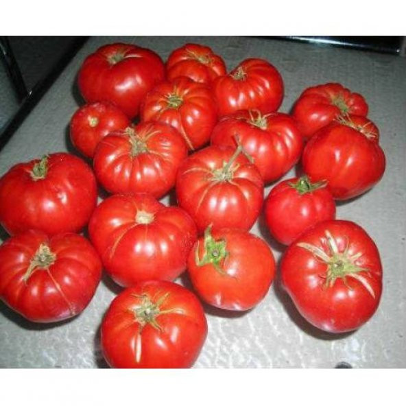 Ayaş Domatesi Tohumu Ekim Seti 10 Tohum Ayaş Domates Tohumu +Saks - Resim 2