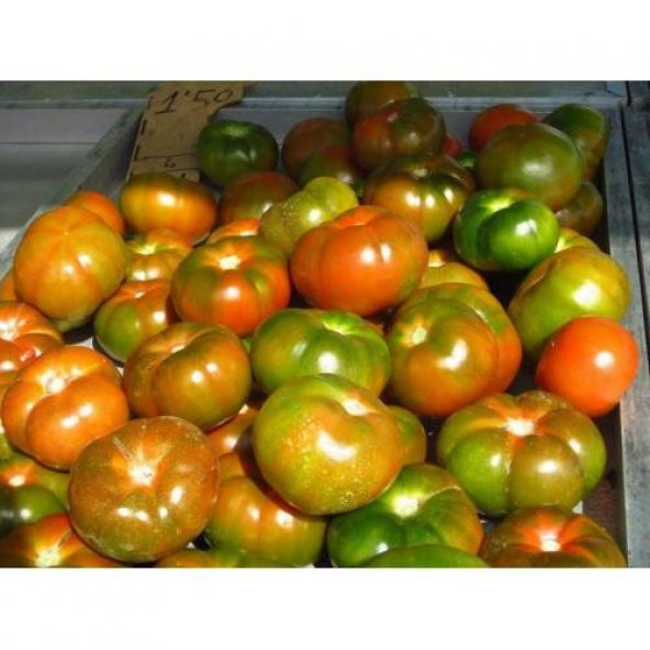 Yayla Domates Tohumu Ekim Seti 10 Tohum Saksı + Toprak + Hediye - 4