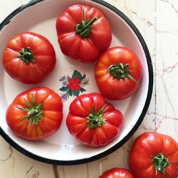 Ayaş Domatesi Tohumu Ekim Seti 10 Tohum Ayaş Domates Tohumu +Saks - Resim 3