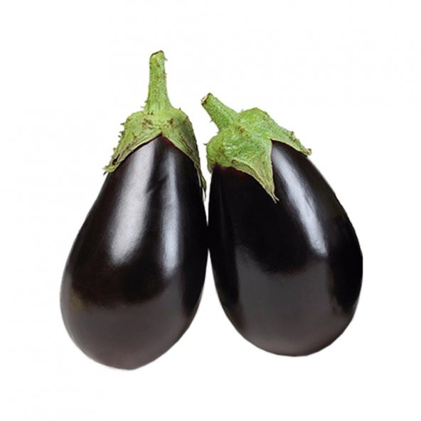 Nadir Dev İri Patlıcan Tohumu Ekim Seti 10 Tohum +Saksı+Toprak ürün görseli