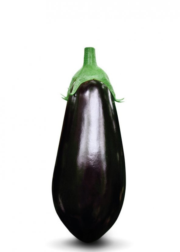 Nadir Dev İri Patlıcan Tohumu Ekim Seti 10 Tohum +Saksı+Toprak - Resim 2