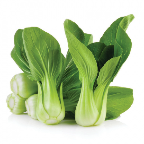 Nadir İthal Çin Lahanası Baby Pak Choi Tohumu Lahana Tohumu