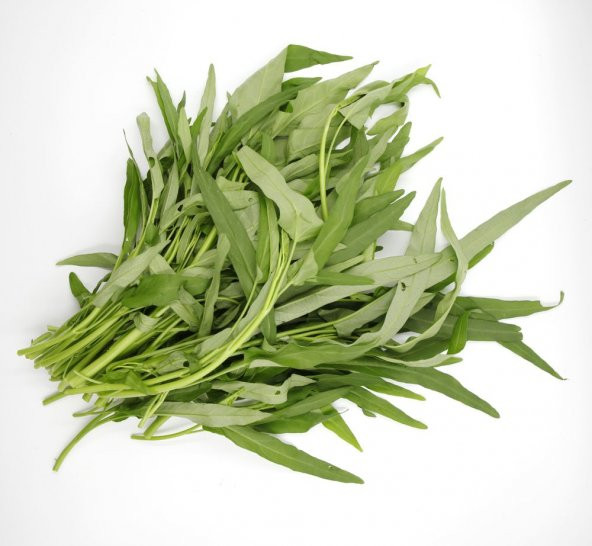 Çin Su Ispanağı Tohumu 25 Tohum + Süpriz Hediye Tohum - 2