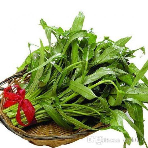 Çin Su Ispanağı Tohumu 25 Tohum + Süpriz Hediye Tohum - 3