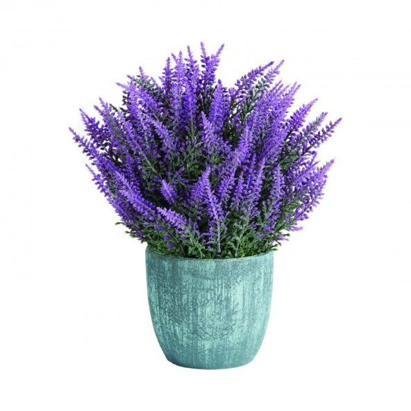 Kokulu İngiliz Lavanta Çiçeği Tohumu Ekim Seti 20 Tohum +Saksı+To ürün görseli