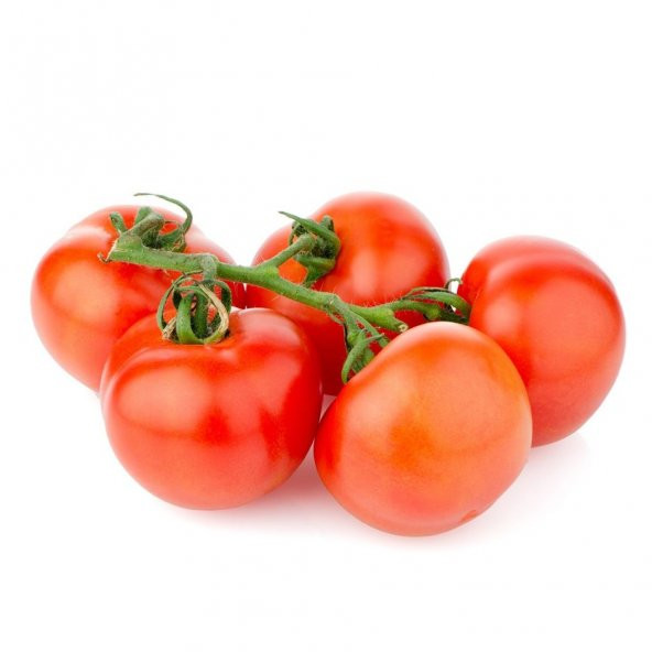 Nuran Domates Tohumu Ekim Seti 15 Tohum + Saksı +Toprak