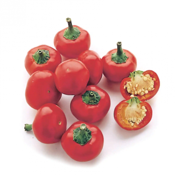 Acı Yakan Top Biber Tohumu Ekim Seti 10 Tohum + Saksı + Toprak - Resim 3