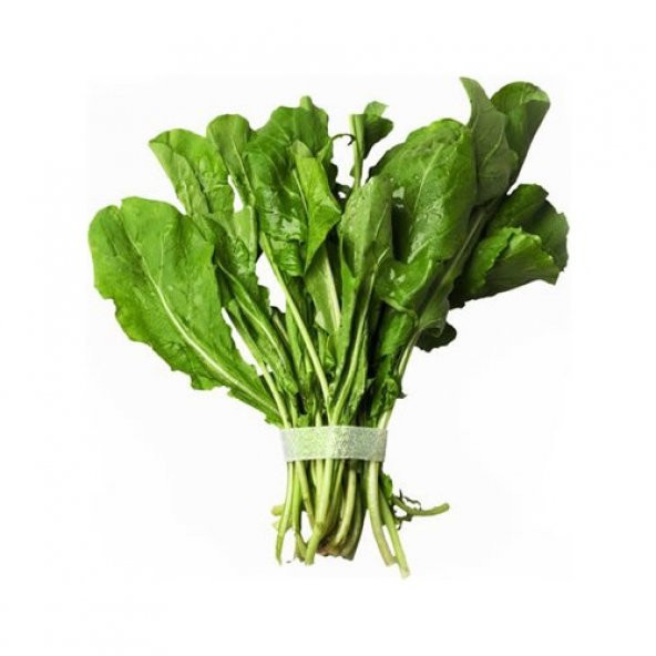 Geleneksel Geniş Yaprak Tere Tohumu 100 Tohum + Süpriz Hediye Toh