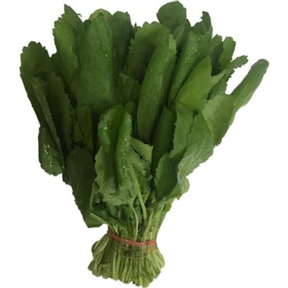 Geleneksel Geniş Yaprak Tere Tohumu 100 Tohum + Süpriz Hediye Toh - 2