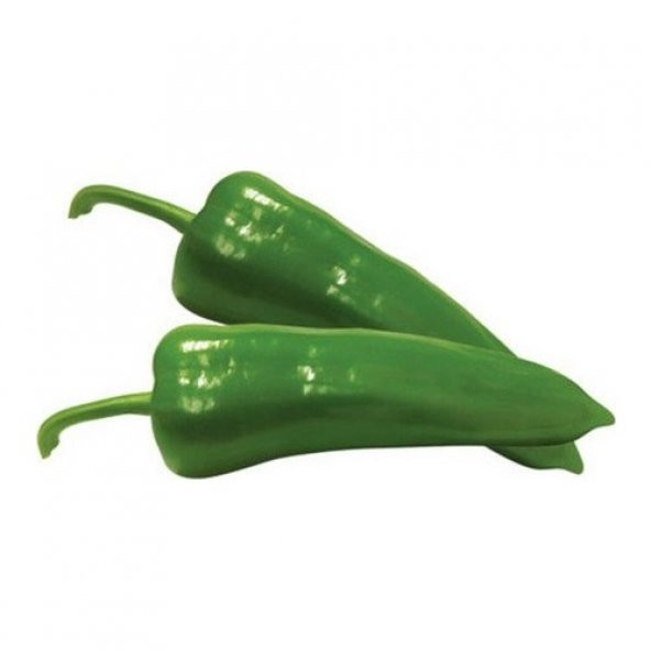 Tatlı Pat Biber Tohumu Ekim Seti 20 Tohum + Saksı+Toprak