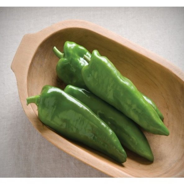 Tatlı Pat Biber Tohumu Ekim Seti 20 Tohum + Saksı+Toprak - 2