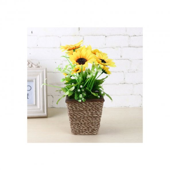 Süs Ayçiçeği Tohumu 5 Tohum Çiçek Tohumu + Süpriz Hediye Tohum - Resim 2