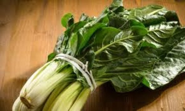 Pazı Tohumu 50 Tohum + Süpriz Hediye Tohum - Resim 2