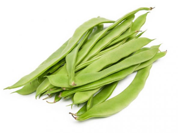 Erkenci Sarıkız Fasulyesi Tohumu Ekim Seti 15 Tohum +Saksı+Toprak