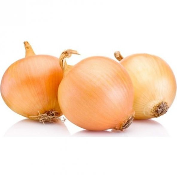 Meşhur Kışlık Soğan Tohumu 100 Tohum + Süpriz Hediye Tohum