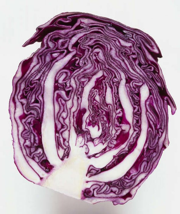 Meşhur Mor Lahana Tohumu 50 Tohum Kara Lahana + Süpriz Hediye Toh - 2