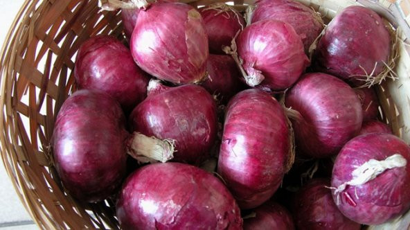 Meşhur Mor Soğan Tohumu 100 Tohum + Süpriz Hediye Tohum - Resim 3