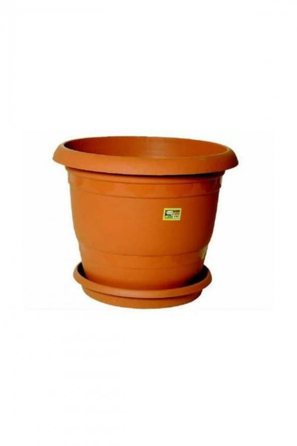 Mor Çan Çiçeği Tohumu Ekim Seti Kadeh Çiçeği 5 Tohum+Saksı+Topra - 4