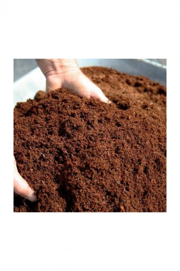 Mor Çan Çiçeği Tohumu Ekim Seti Kadeh Çiçeği 5 Tohum+Saksı+Topra - 5
