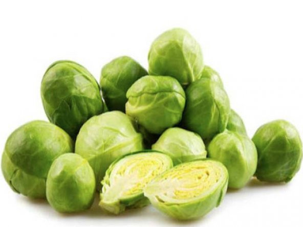 Brüksel Lahana Tohumu Ekim Seti 25 Tohum + Saksı + Toprak +Hediye