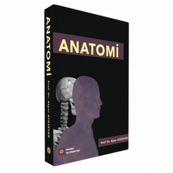 ANATOMİ