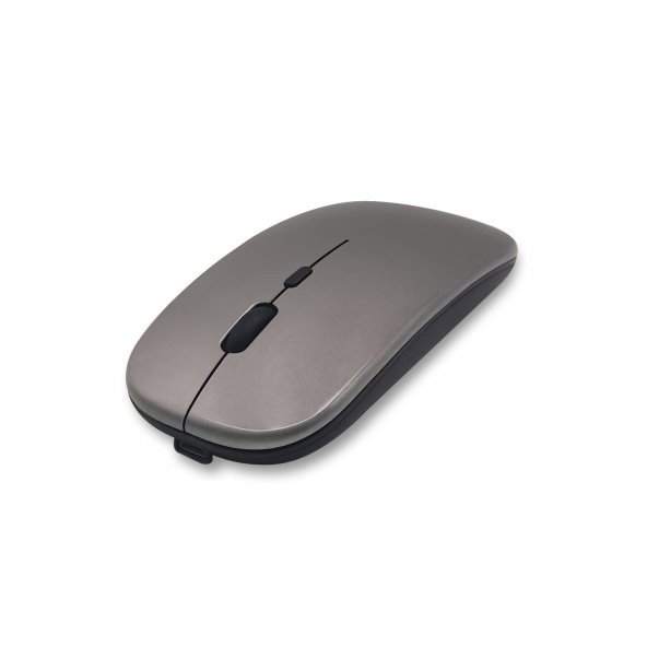 Polosmart PSWM13 Hybrid Bluetooth & Wireless Şarj Edilebilir Mouse K.Gri - 2