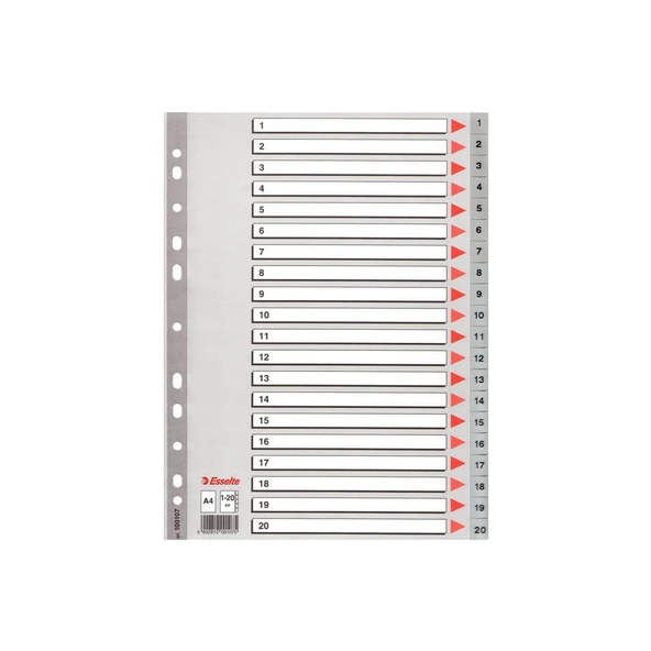 Esselte Seperatör 1-20 Rakamlı Plastik A4