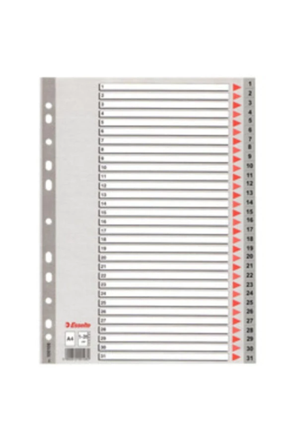 Esselte Seperatör 1-31 Rakamlı Plastik A4 100108