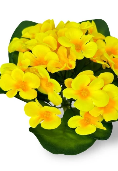 Nettenevime Yapay Çiçek Beyaz Saksıda Kadife Menekşe Gerçekçi Doku SARI - Resim 6