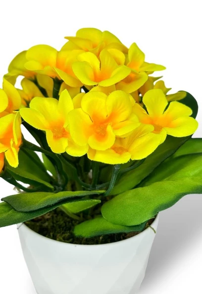 Nettenevime Yapay Çiçek Beyaz Saksıda Kadife Menekşe Gerçekçi Doku SARI - Resim 4