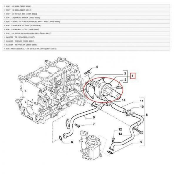 Fiat Albea   ( 2002-2013 )  Termostat 1.3JTD          (55224021) - 5