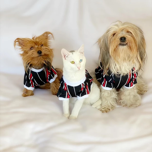 Black Red White Çizgili Oval Yaka Tişört Kedi Kıyafeti Kedi Elbisesi - 6