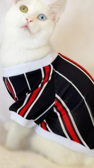 Black Red White Çizgili Oval Yaka Tişört Kedi Kıyafeti Kedi Elbisesi - 5