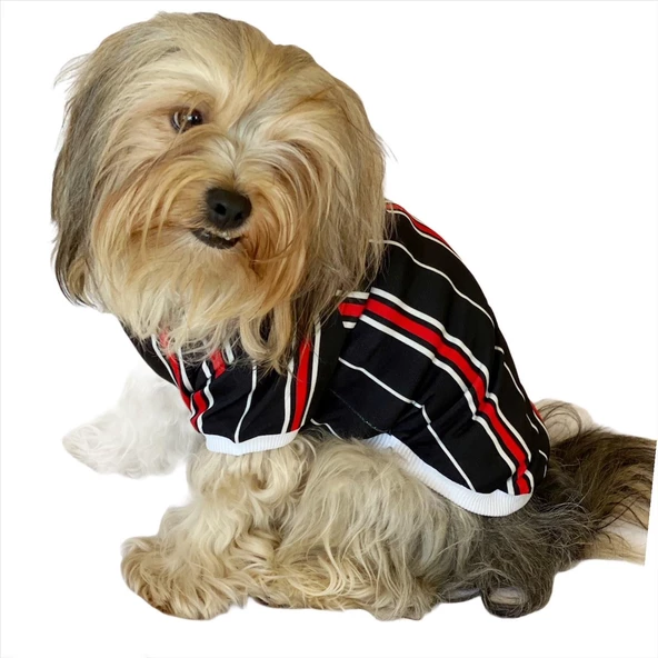 Black Red White Striped Oval Yaka Tişört Köpek Kıyafeti Köpek Elbisesi - Resim 2